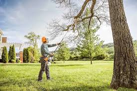 Seasonal Cleanup (Spring/Fall) in Brightwaters, NY